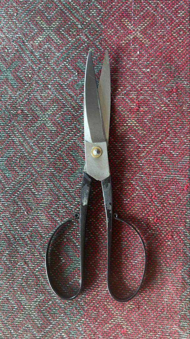 種子島　牧瀬種子鋏