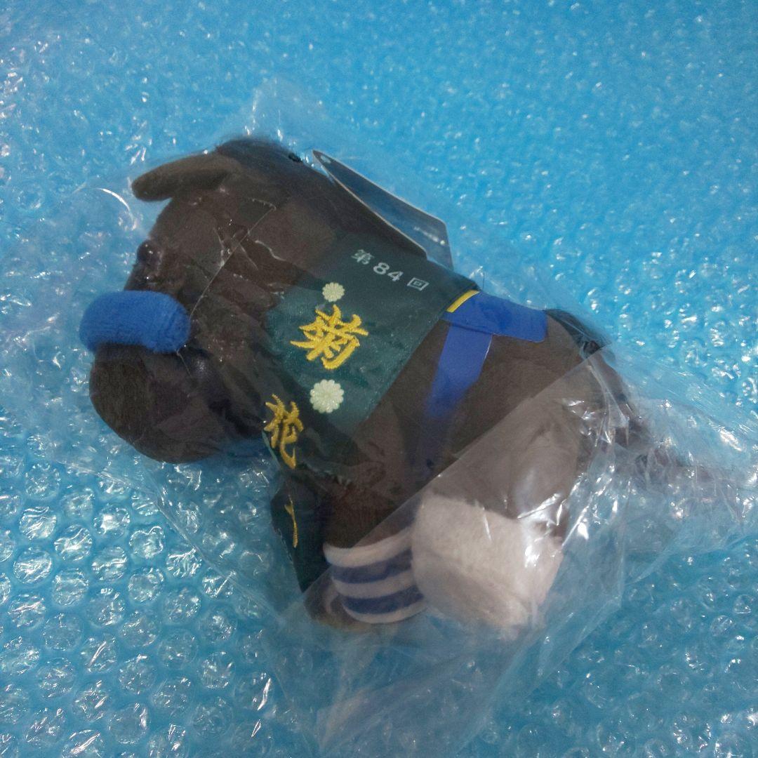 アイドルホース selection 第84回 菊花賞 ドゥレッツァ