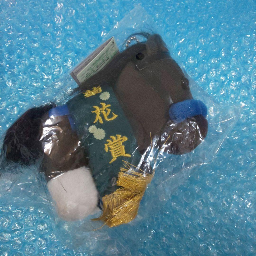 アイドルホース selection 第84回 菊花賞 ドゥレッツァ