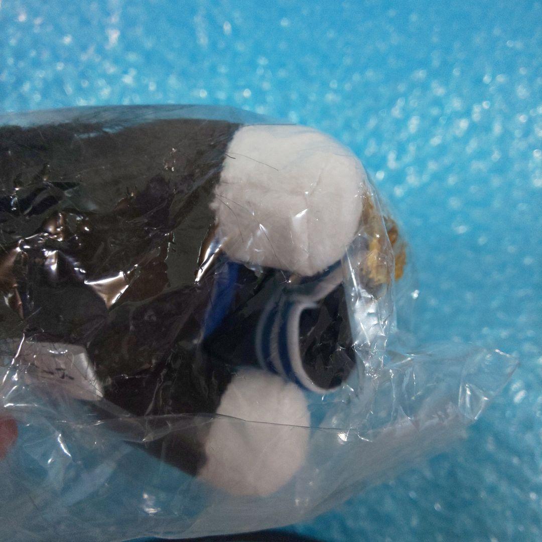 アイドルホース selection 第84回 菊花賞 ドゥレッツァ