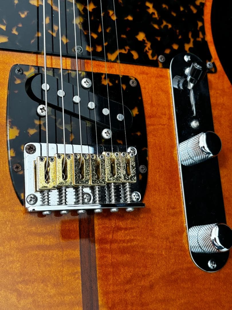 ギター H.S. ANDERSON HS-1 MAD CAT