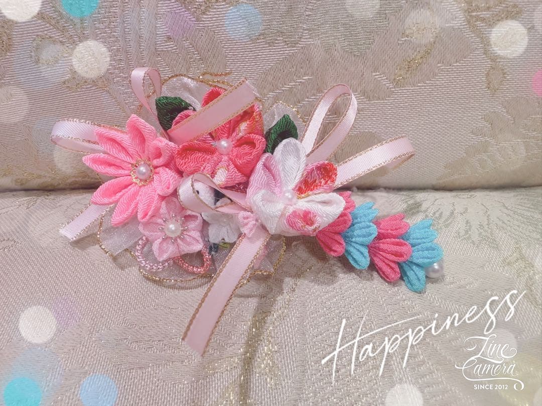 B402.pon2pan2☆オーダー☆犬お引き摺りお着物