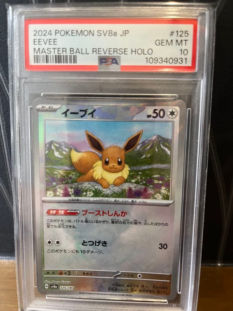 テラスタルフェス　ブイズ　全進化系　PSA10 マスボミラー