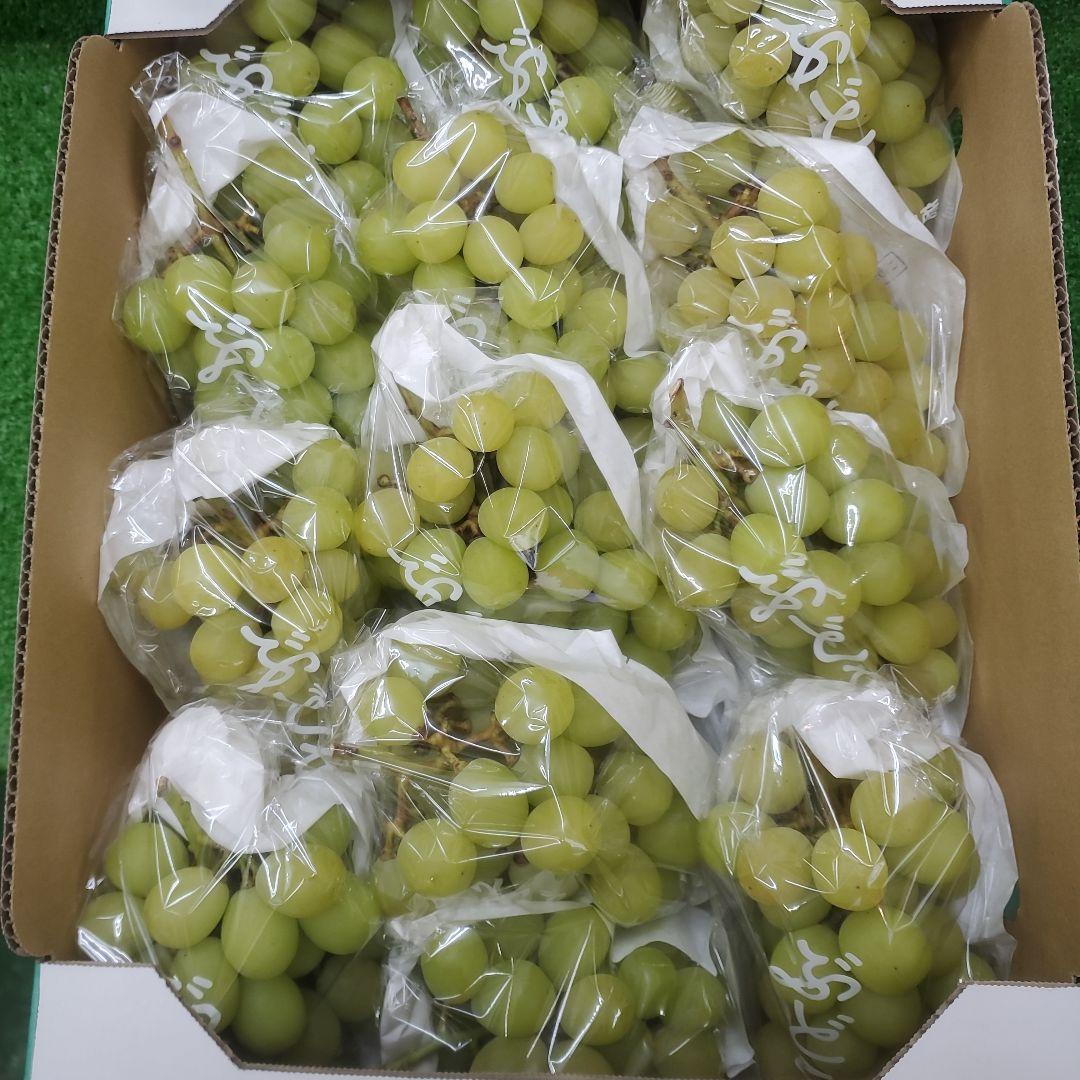 1⃣0️⃣ 山梨県産 シャインマスカット１３房 箱込み5.6キロ