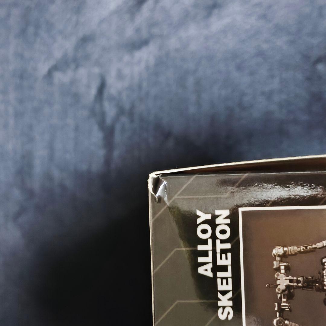 海外製　裂変匠魂　アナイアレイション（湮滅） 金属フレーム　1/100