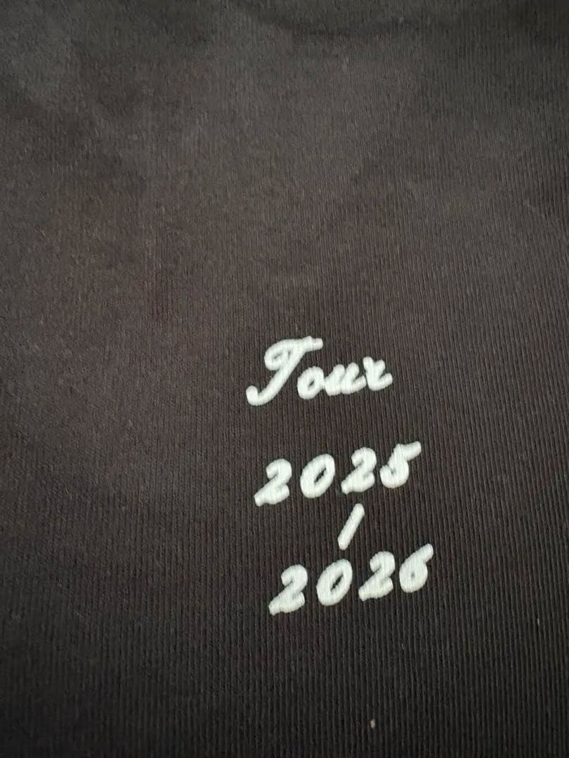 LADY GAGA 踊るか死ぬかTシャツXL レディーガガ　MAYHEM