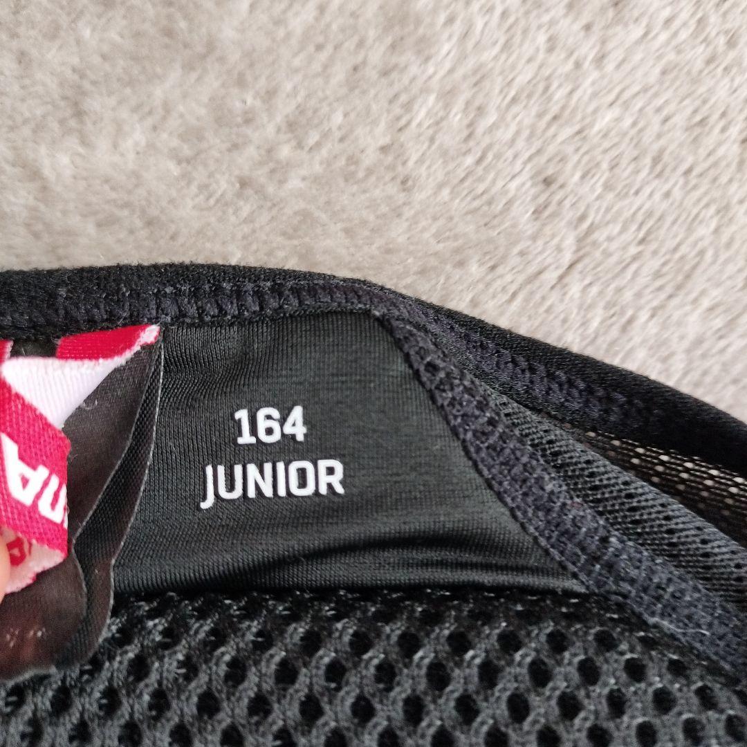 ALPINA バックプロテクター164センチ