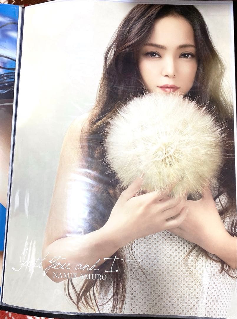 安室奈美恵　B2 A2 ポスター finally KOSE ベスフィク　12枚