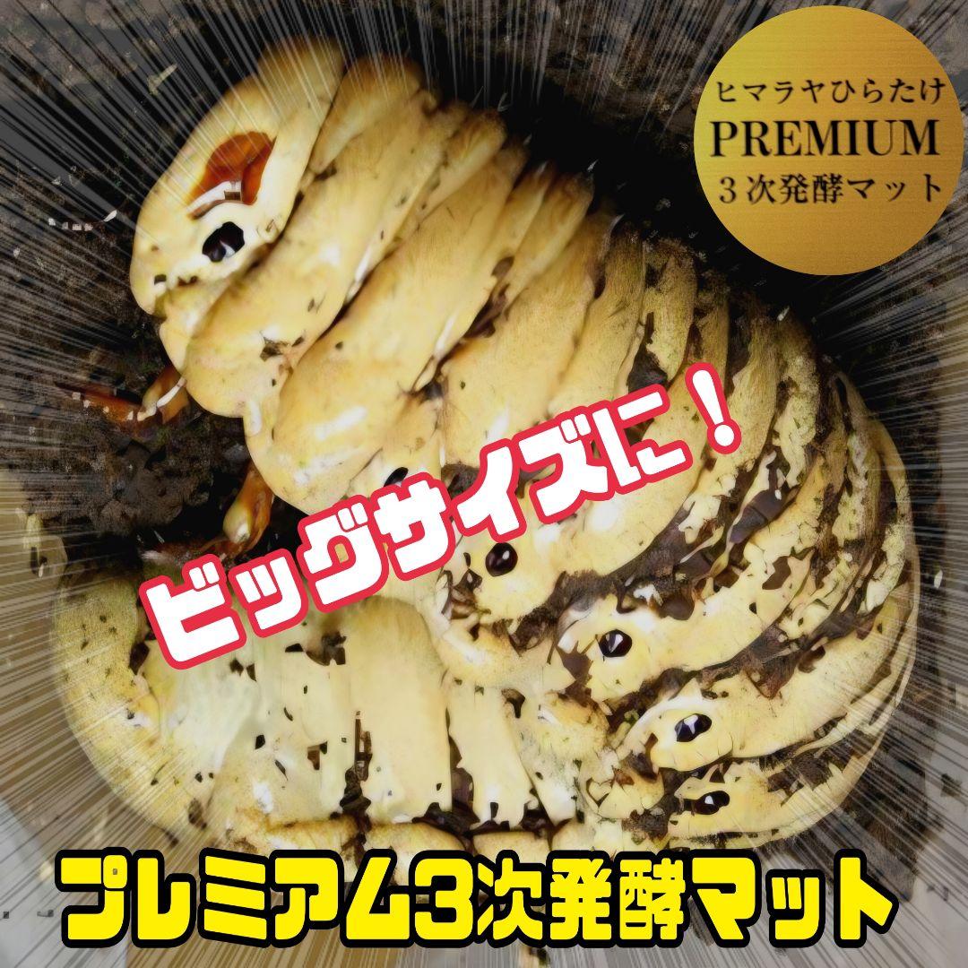 カブトムシ幼虫が巨大化！プレミアム3次発酵カブトムシマット【50L】産卵にも抜群
