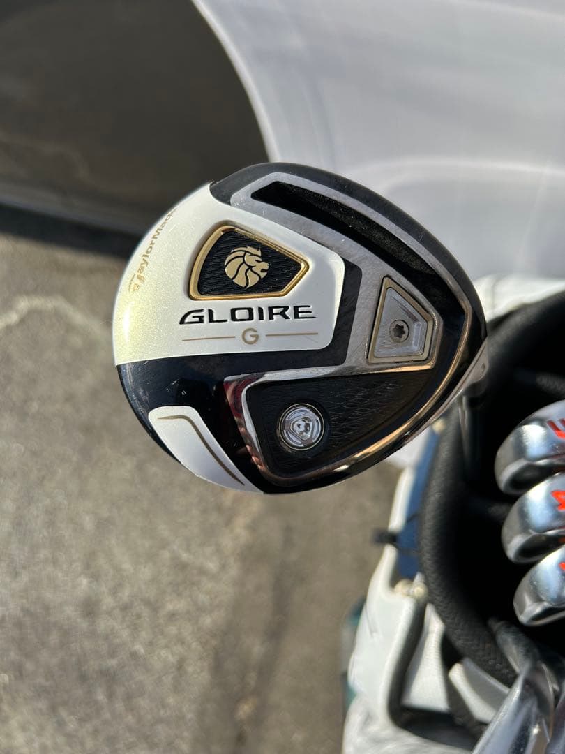 Mizuno キャディバッグ ホワイト/ネイビー