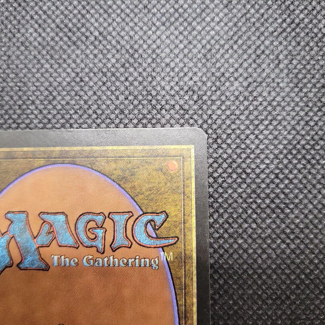 MTG 黒枠 英語版 初版 サインド シヴ山のドラゴン leb β