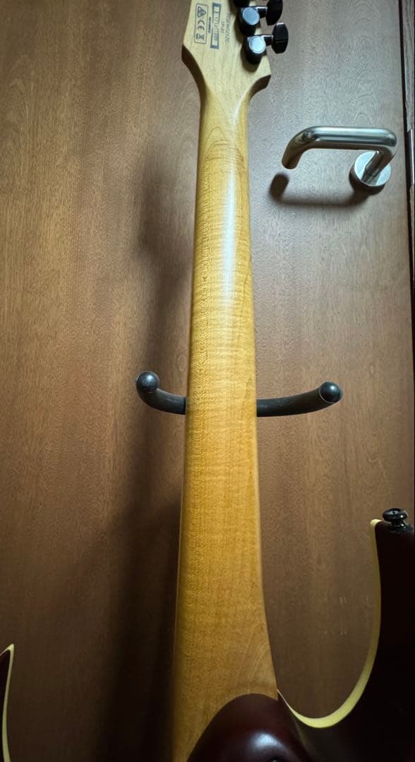 ギター Ibanez RGEW521ZC NTF