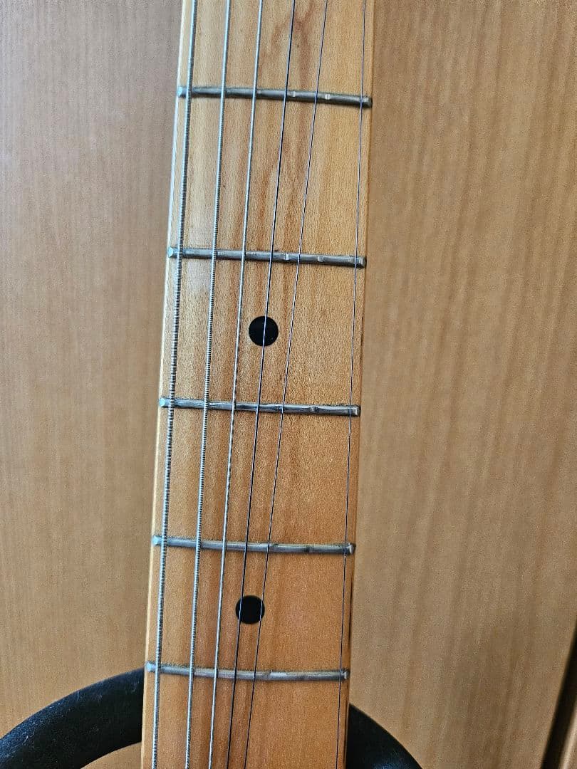 Fender Japan/TL69 Blue Flower 桜井和寿仕様