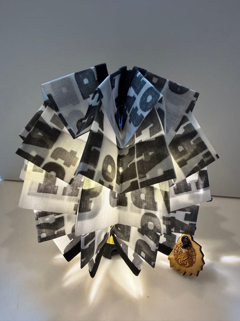 【超希少】TARPtoTARP solol コラボ