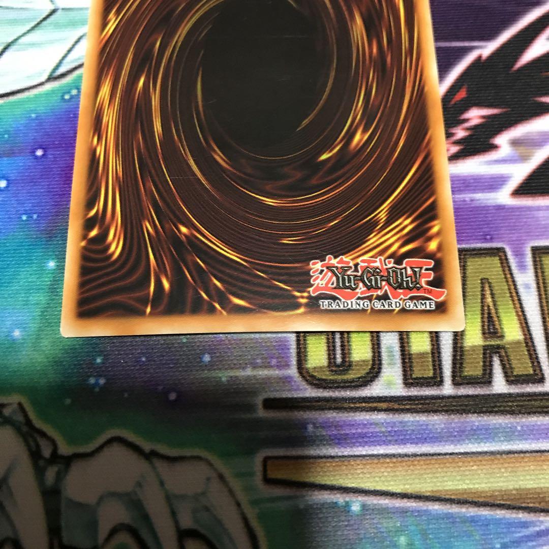 遊戯王 ブラック・ローズ・ドラゴン　フランス語　シークレット