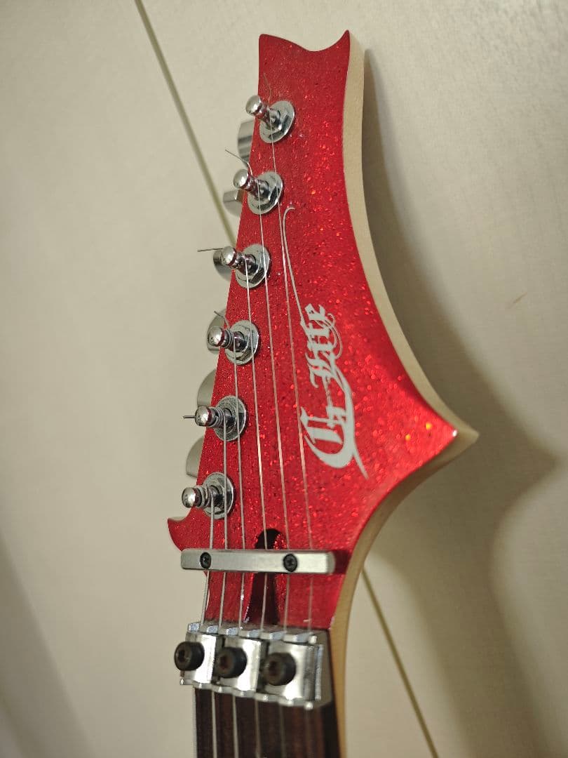 G-Life Guitars DSG Life-ALD中古品