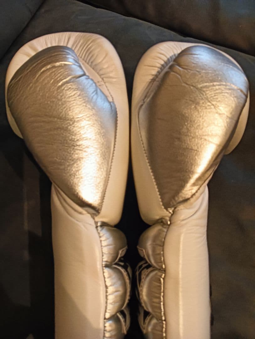 PRIZE RING 本革　プロフェッショナル ボクシンググローブ 14オンス