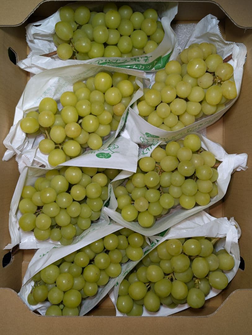 山梨県産ぶどう　シャインマスカット　7房入り　箱込み約5.2kg