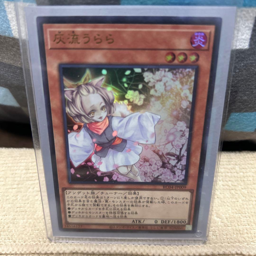 クウォーターシクはるうららセット