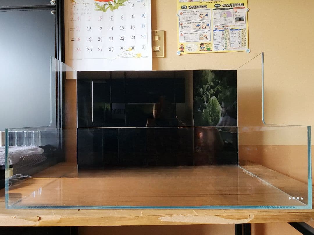 ADA DOOA　NEO GLASS TERRA H36