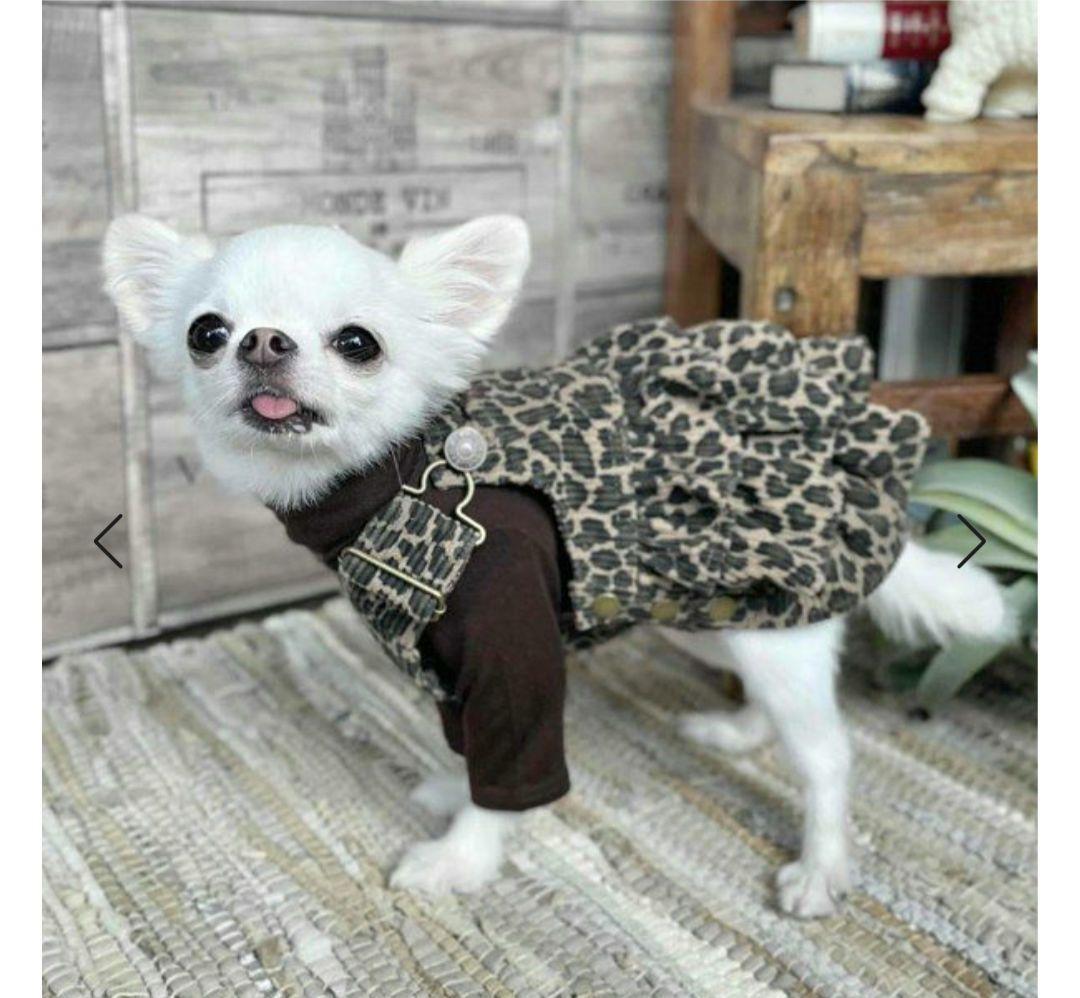 アズノウアズデワン　レオパード柄サロペスカート