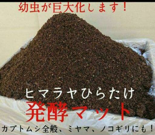 送料無料！60リットル　カブトムシ幼虫の餌！巨大化！ヒマラヤひらたけ発酵マット