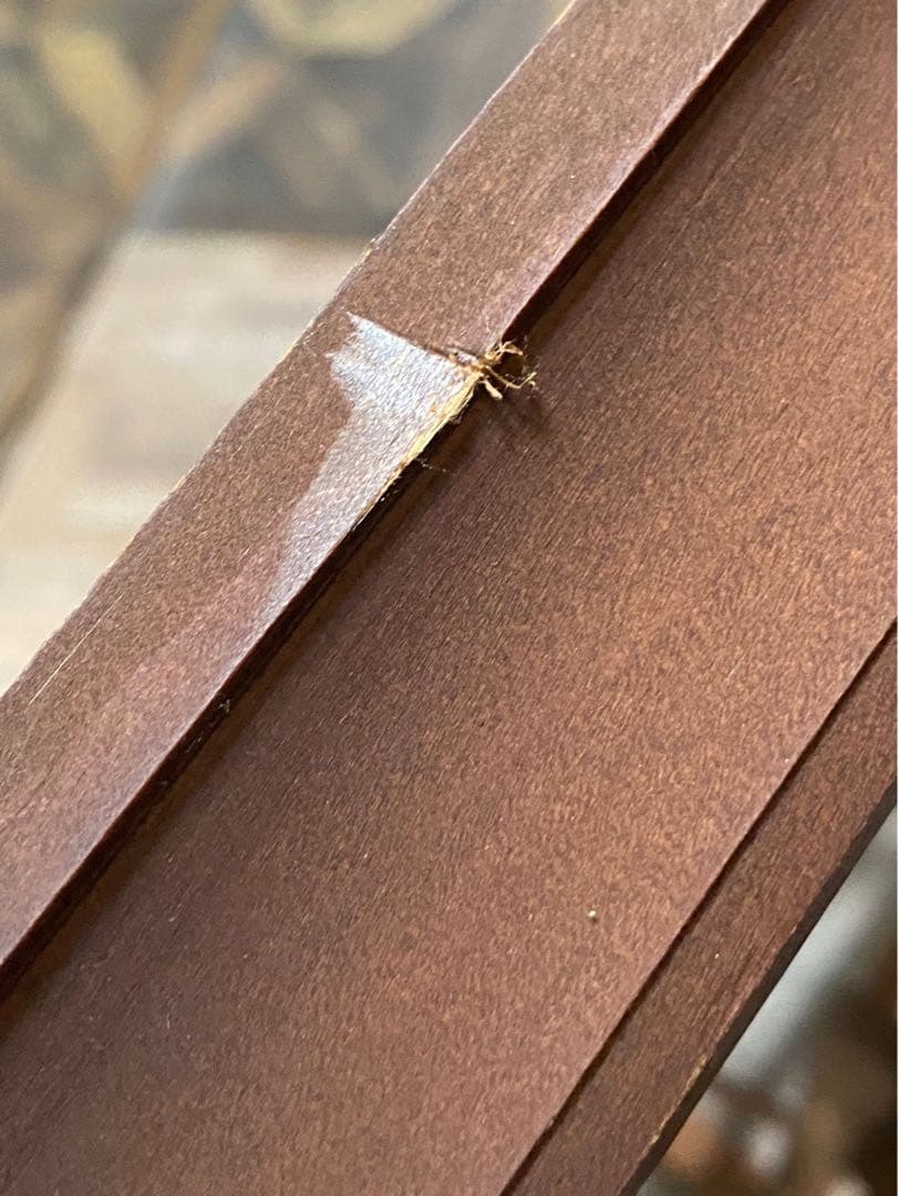 若石賛花 直筆サイン入り 静かなる森 風景画 油絵 インテリア