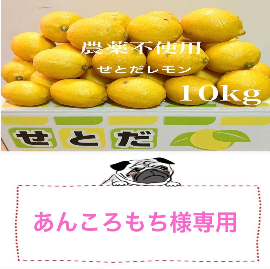 国産瀬戸田レモン10kg前後　あんころもち様