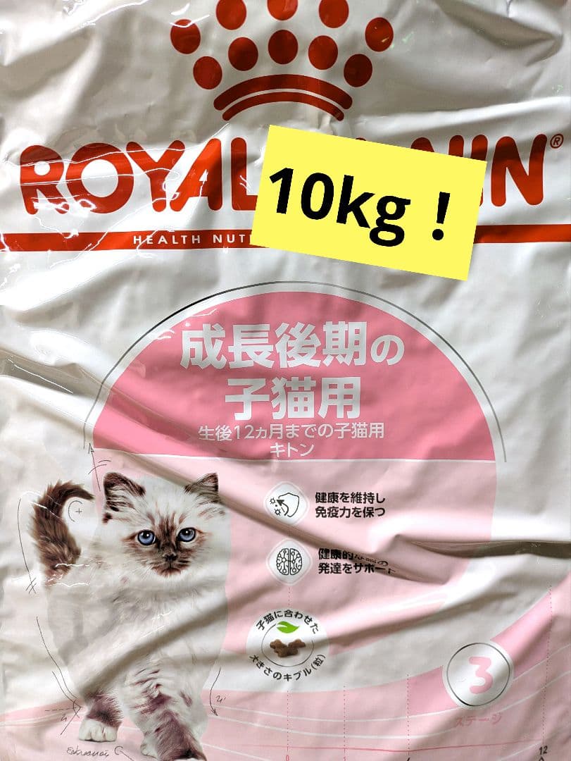  CANIN 子猫用　キトン　10kg
