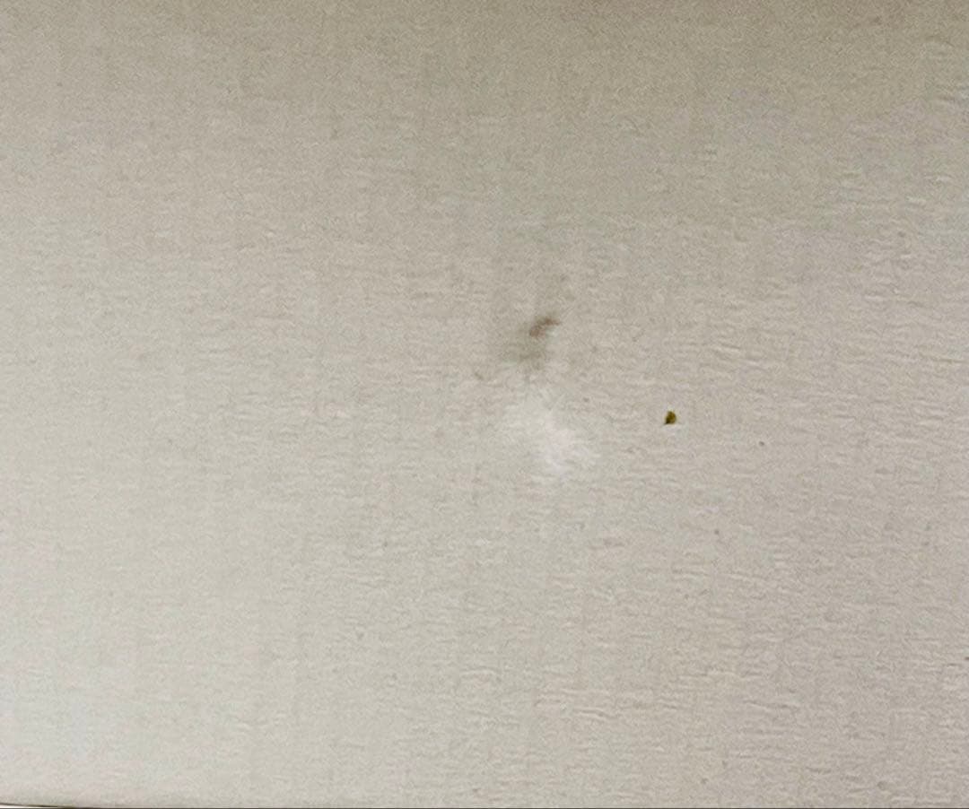 ☆SEO IN GUK MEMBERSHIP FAN KIT ソイングク FC☆