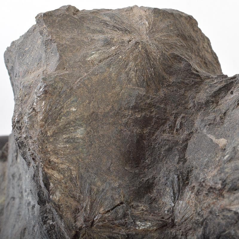 天然石　鑑賞石　菊花石　置物　重さ約1.7kg　唐木台付　V　R6819