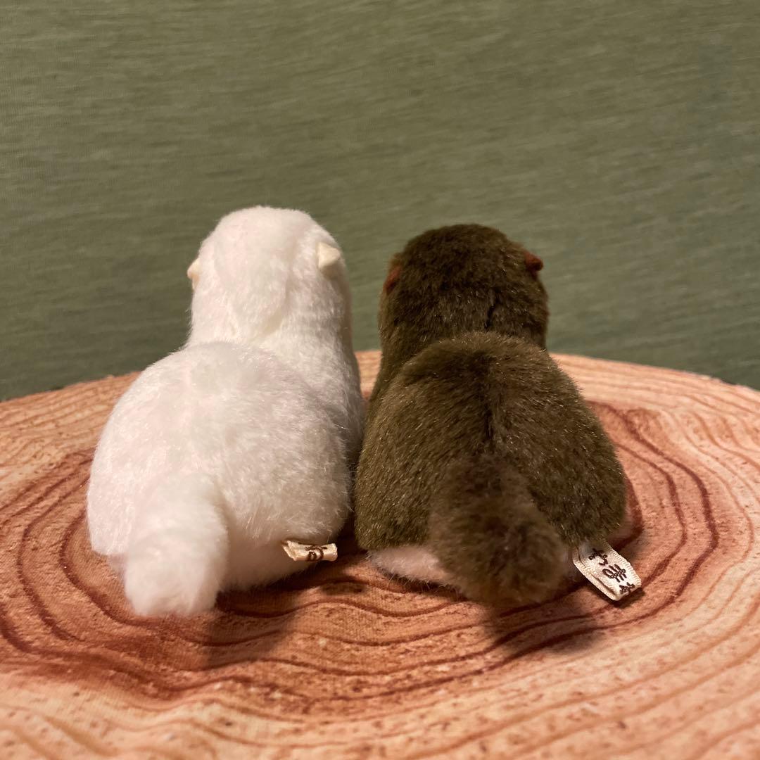 やまね工房　イイズナ(夏毛・冬毛)