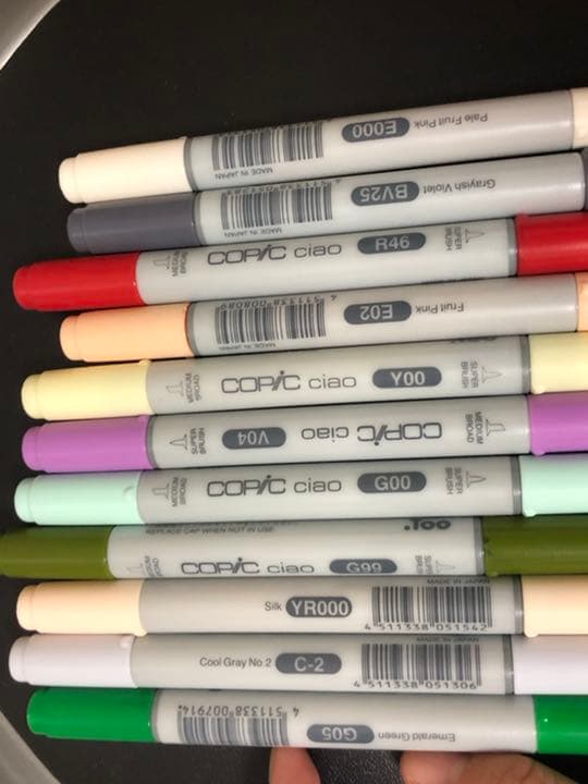 コピックセットとバリオスインク