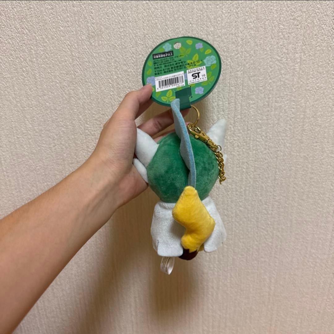 ポケモンセンター限定 マスコット メガエルレイドのポンチョを着たピカチュウ