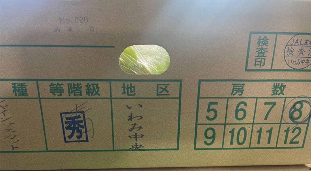 ③ 【島根県産】シャインマスカット約5キロ(8房)