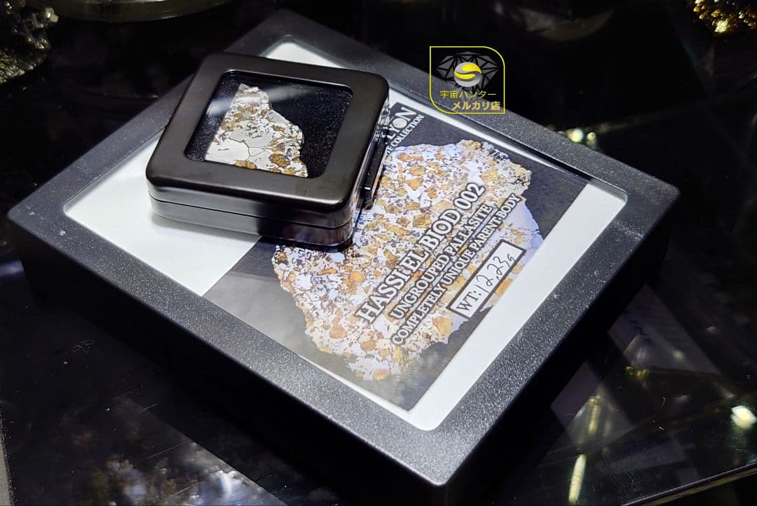 隕石 Hassi El Biod 002 パラサイト 12.23g⭐