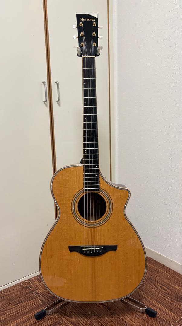 ギター History / NT-501