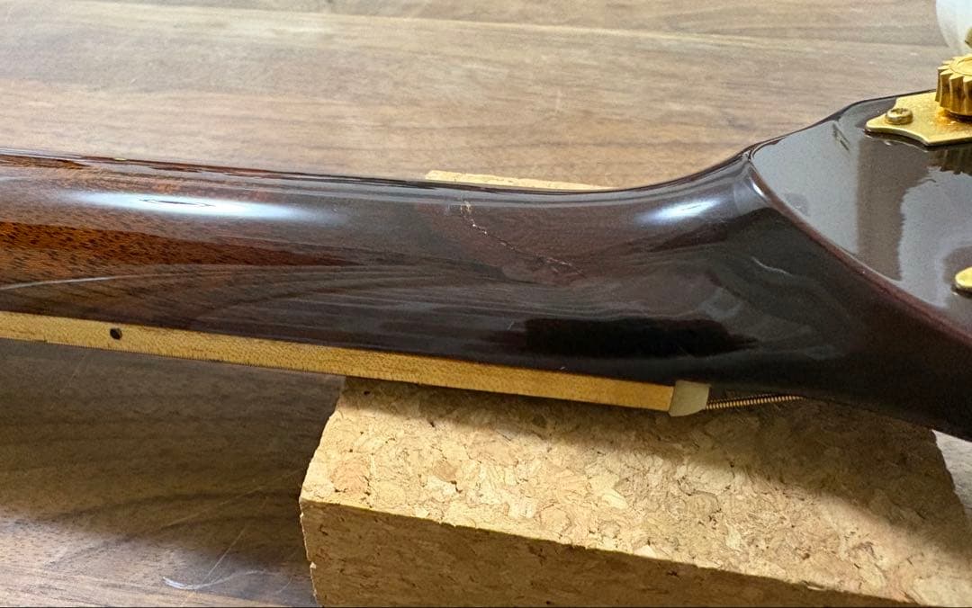 ギター History / NT-501