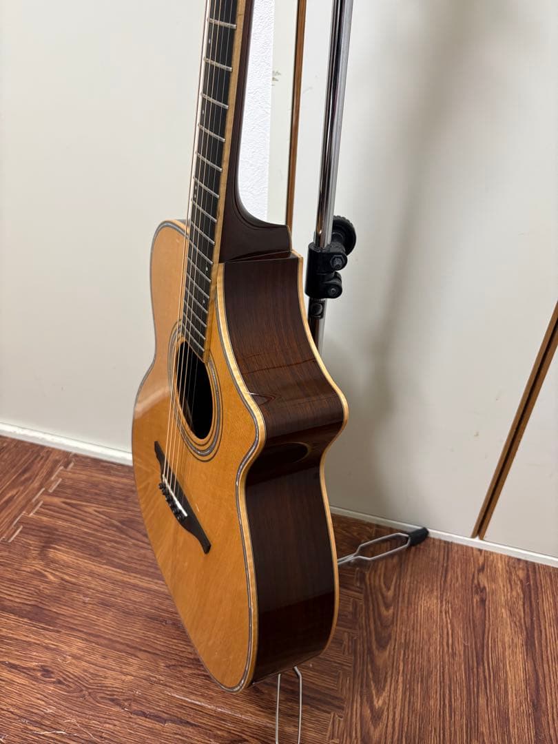 ギター History / NT-501