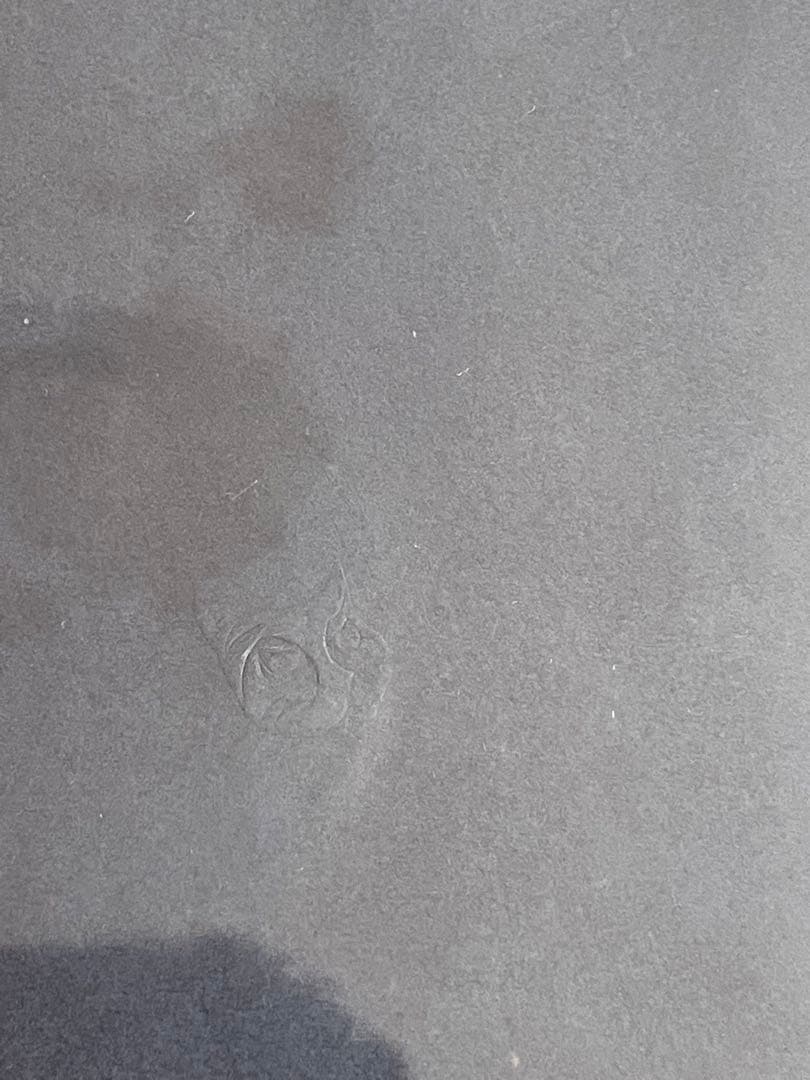 「月の女」レオノール・フィニー