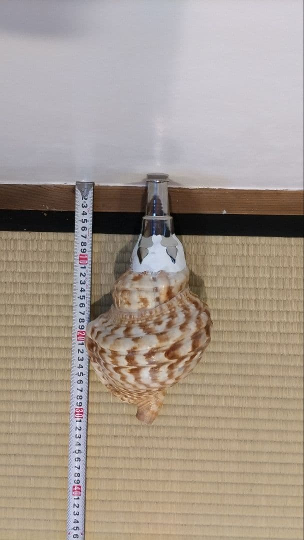 法螺貝　⑤