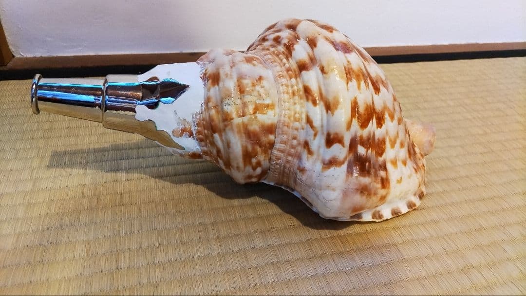 法螺貝　⑤