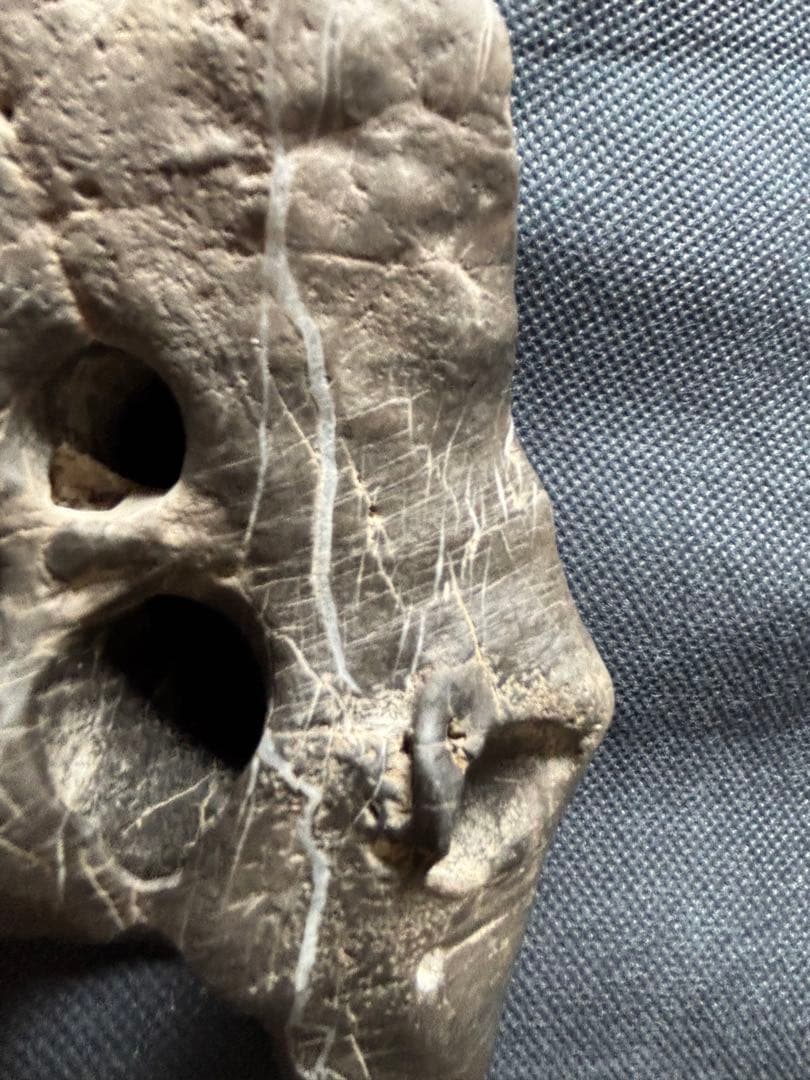 中国　天然　鑑賞　石　痩透漏　18✖︎10cm