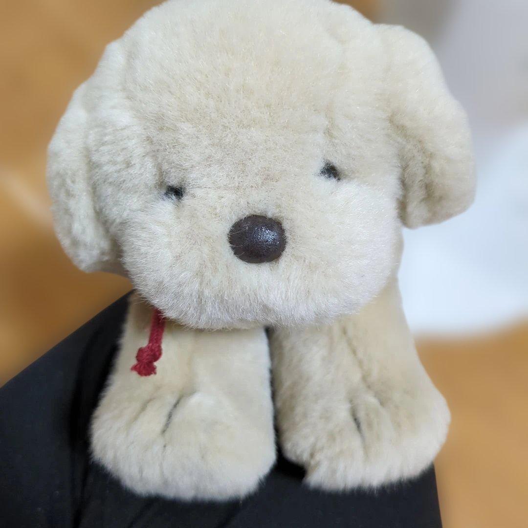 専用 ✽ うめ吉　寝そべりポーズ