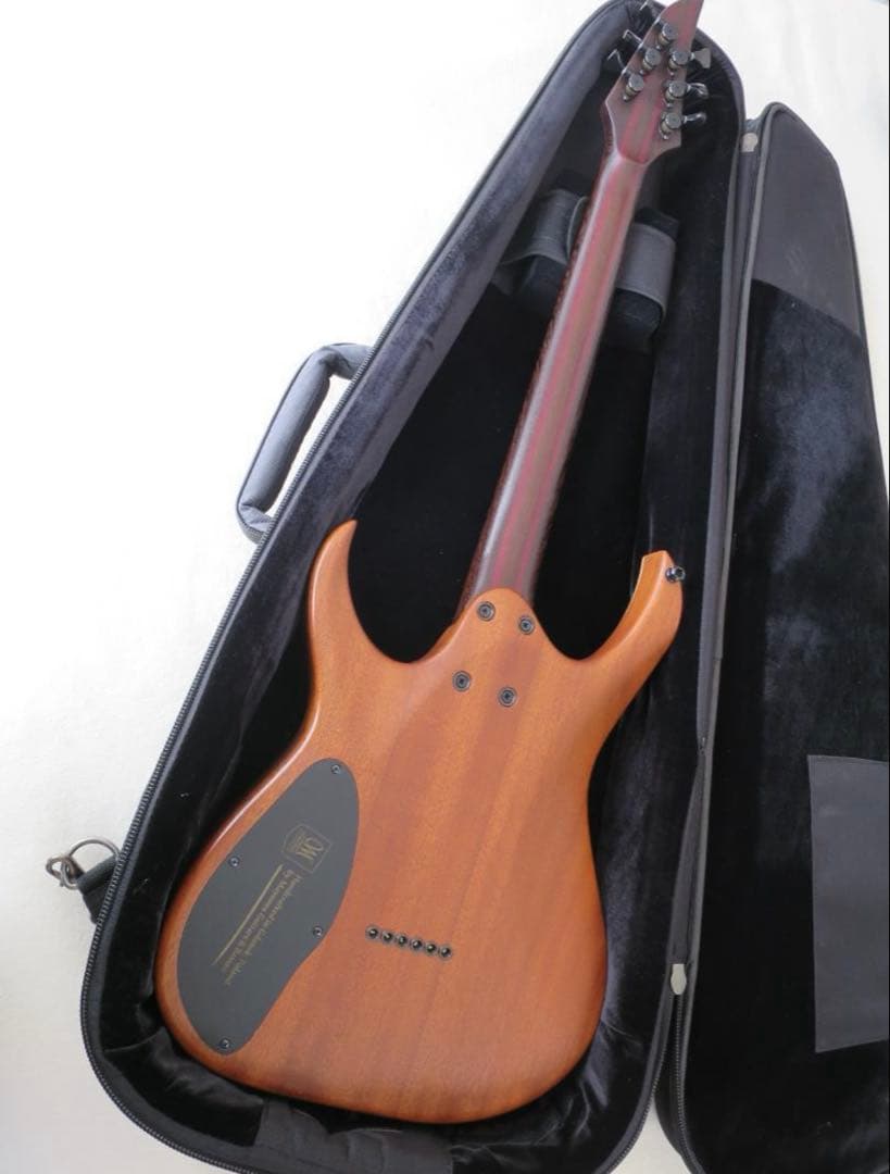 ギター MAYONES Duvell Elite 6