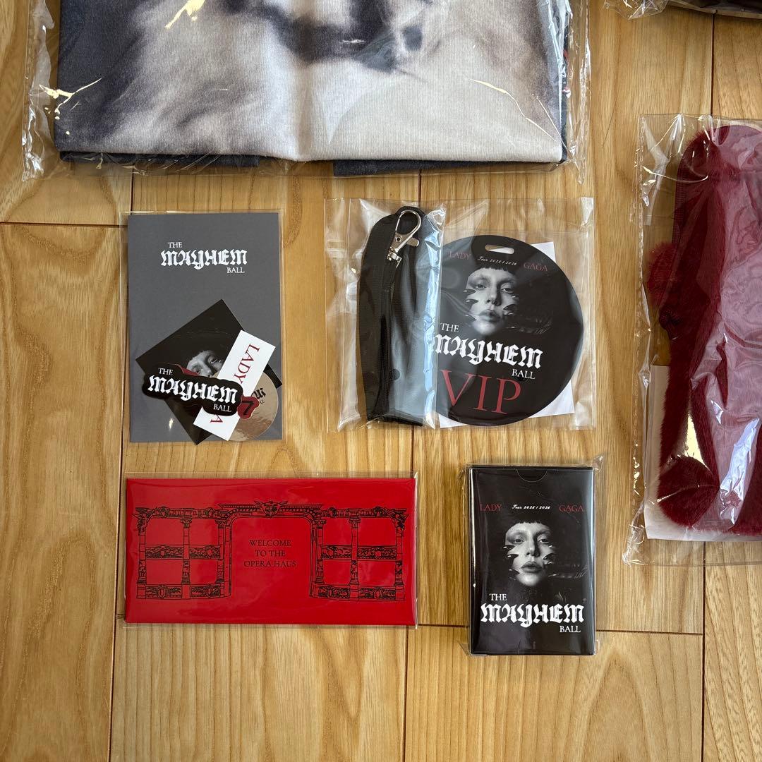 東京ドーム2026/1/29レディガガ　ライヴコンサートグッズ