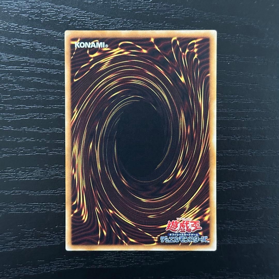 遊戯王 ブラックパラディン レリーフ