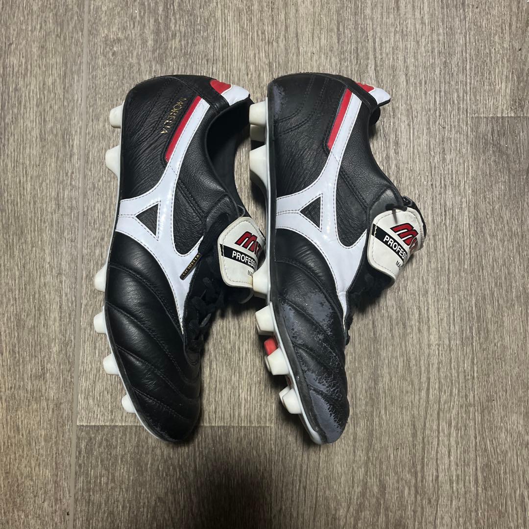 ミズノモレリア