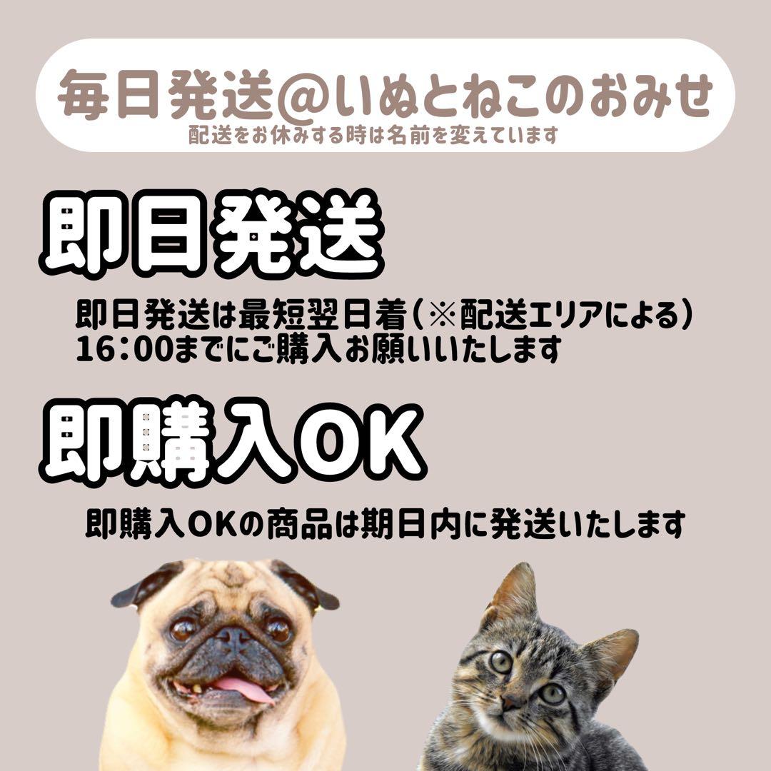 【中粒】15kgセレクトバランス アダルトチキン 1才以上の成犬用ドッグフード