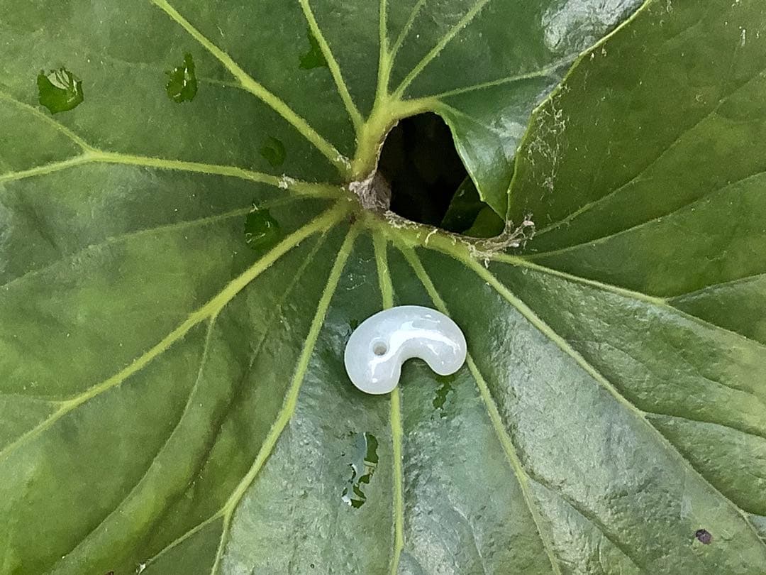 ✳天啓‼️ 極上糸魚川翡翠勾玉アイスジェイド*氷　一生もの　御守り　鑑定鑑別書付‼️